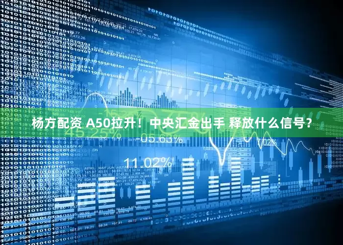 杨方配资 A50拉升！中央汇金出手 释放什么信号？