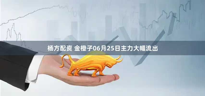 杨方配资 金橙子06月25日主力大幅流出
