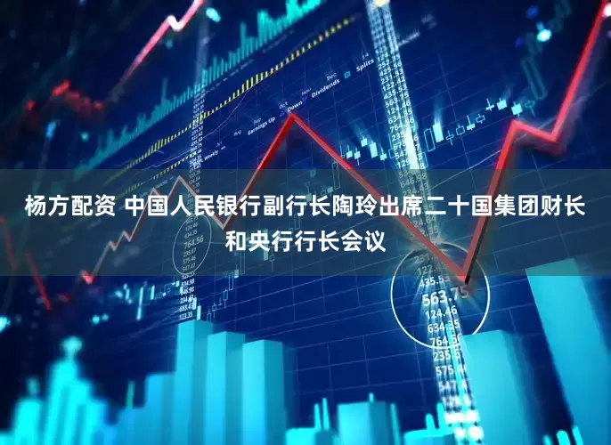 杨方配资 中国人民银行副行长陶玲出席二十国集团财长和央行行长会议